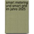 Smart Metering und Smart Grid im Jahre 2025