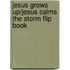 Jesus Grows Up/Jesus Calms the Storm Flip Book