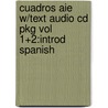 Cuadros Aie W/Text Audio Cd Pkg Vol 1+2:Introd Spanish door Long