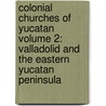 Colonial Churches of Yucatan Volume 2: Valladolid and the Eastern Yucatan Peninsula door Gabi Forester