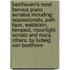 Beethoven's Most Famous Piano Sonatas Including: Appassionata, Path Tque, Waldstein, Tempest, Moonlight Sonata and Many Others. by Ludwig Van Beethove