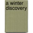 A Winter Discovery