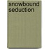 Snowbound Seduction