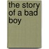 The Story of a Bad Boy
