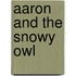 Aaron and the Snowy Owl