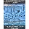 The Sorrows of Young Werther door Johann Wolfgang von Goethe