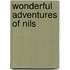 Wonderful Adventures of Nils