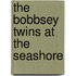 The Bobbsey Twins at the Seashore