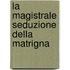 La Magistrale Seduzione Della Matrigna