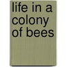 Life In A Colony Of Bees door Onbekend