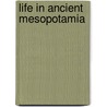 Life In Ancient Mesopotamia by Unknown