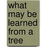 What May Be Learned From A Tree by Unknown