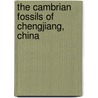 The Cambrian Fossils of Chengjiang, China door Onbekend