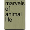 Marvels Of Animal Life by Unknown