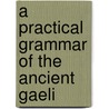 A Practical Grammar Of The Ancient Gaeli door Onbekend