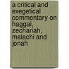 A Critical And Exegetical Commentary On Haggai, Zechariah, Malachi And Jonah door Onbekend