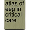 Atlas of Eeg in Critical Care door Onbekend
