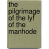 The Pilgrimage of the Lyf of the Manhode door Onbekend