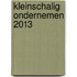 Kleinschalig ondernemen 2013