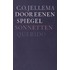 Door eenen spiegel