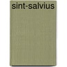 Sint-Salvius by Frans de Kok