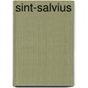Sint-Salvius door Frans de Kok