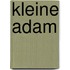 Kleine Adam