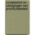 Complexiteit en uitdagingen van prostitutiebeleid