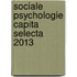 Sociale psychologie capita selecta 2013