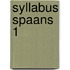 Syllabus Spaans 1