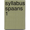 Syllabus Spaans 1 by B.C. Torres de Aparicio