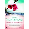 Onder de ombu-boom by Santa Montefiore