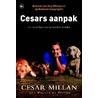 Cesars aanpak