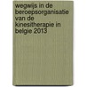 Wegwijs in de beroepsorganisatie van de kinesitherapie in België 2013 door Karel Stappaerts