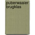 Puberwaaier brugklas