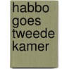 Habbo goes Tweede Kamer by Marije van Gent