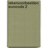 Rekenvoorbeelden Eurocode 2 door René Braam