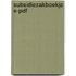 Subsidiezakboekje E-pdf