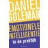 Emotionele intelligentie in de praktijk