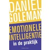 Emotionele intelligentie in de praktijk door DaniëL. Goleman
