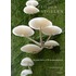 PADDENSTOELEN