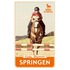 Springen