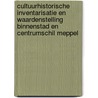 Cultuurhistorische inventarisatie en waardenstelling binnenstad en centrumschil Meppel door Rowin van der Leeden