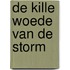 De kille woede van de storm