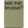 Wat met Brussel? door Stijn Oosterlynck