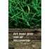 Het hoge gras van de Hazenweide