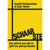 Schaarste by Sendhil Mullainathan