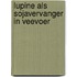 Lupine als sojavervanger in veevoer