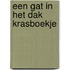 Een gat in het dak krasboekje