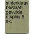 Sinterklaas bestaat! gevulde display 5 ex.